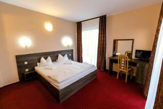 Отель Hotel Nicoleta Бэйле-Феликс Двухместный номер с 1 кроватью или 2 отдельными кроватями и балконом-10