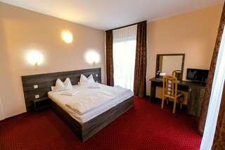 Отель Hotel Nicoleta Бэйле-Феликс Двухместный номер с 1 кроватью или 2 отдельными кроватями и балконом-5